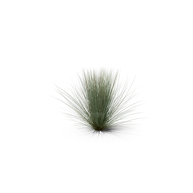 高清景观植物乔木花卉草本观赏草灌木