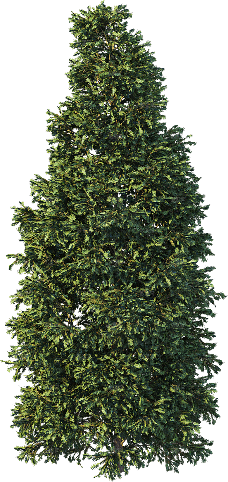高清景观植物乔木花卉草本观赏草灌木素材
