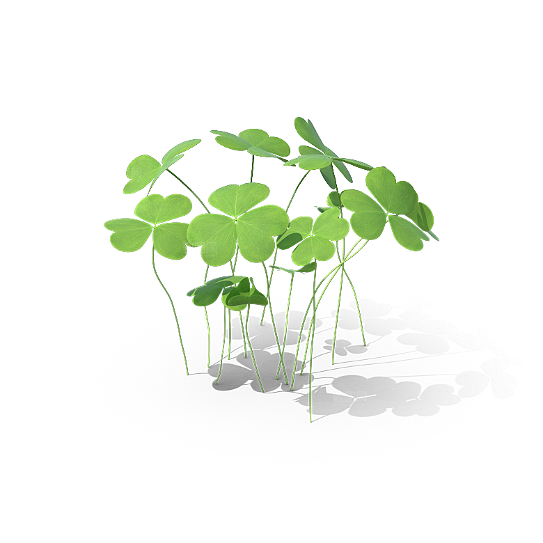 高清景观植物乔木花卉草本观赏草灌木