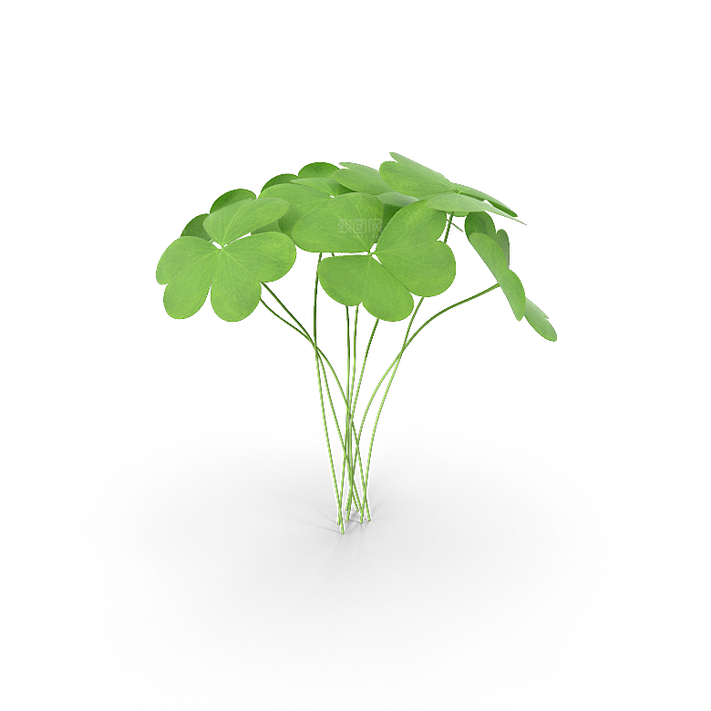 高清景观植物乔木花卉草本观赏草灌木
