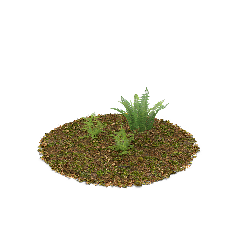 高清景观植物乔木花卉草本观赏草灌木素材