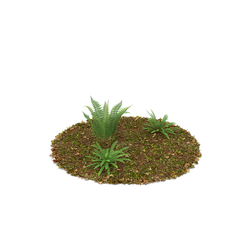 高清景观植物乔木花卉草本观赏草灌木素材