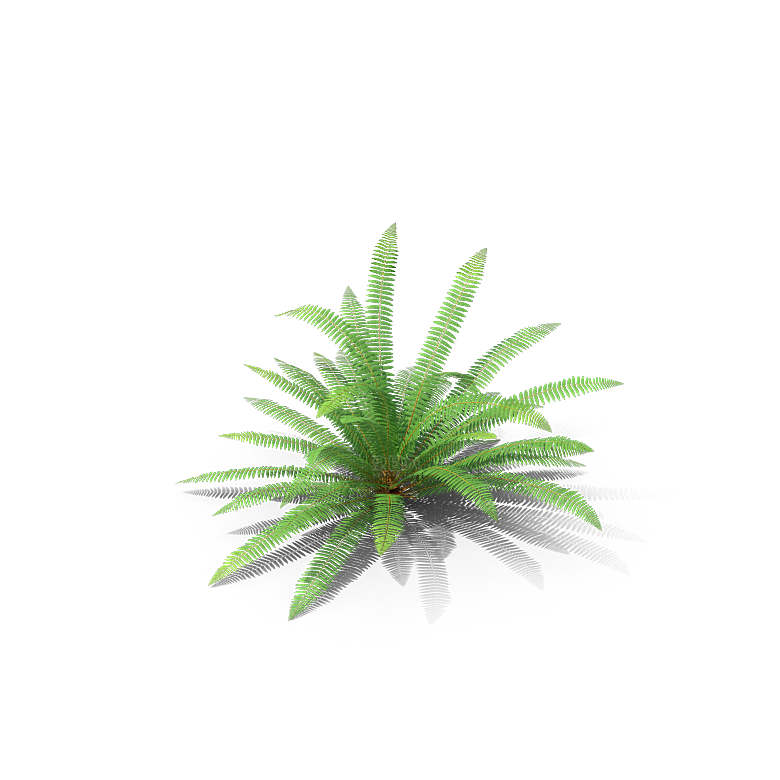 高清景观植物乔木花卉草本观赏草灌木素材
