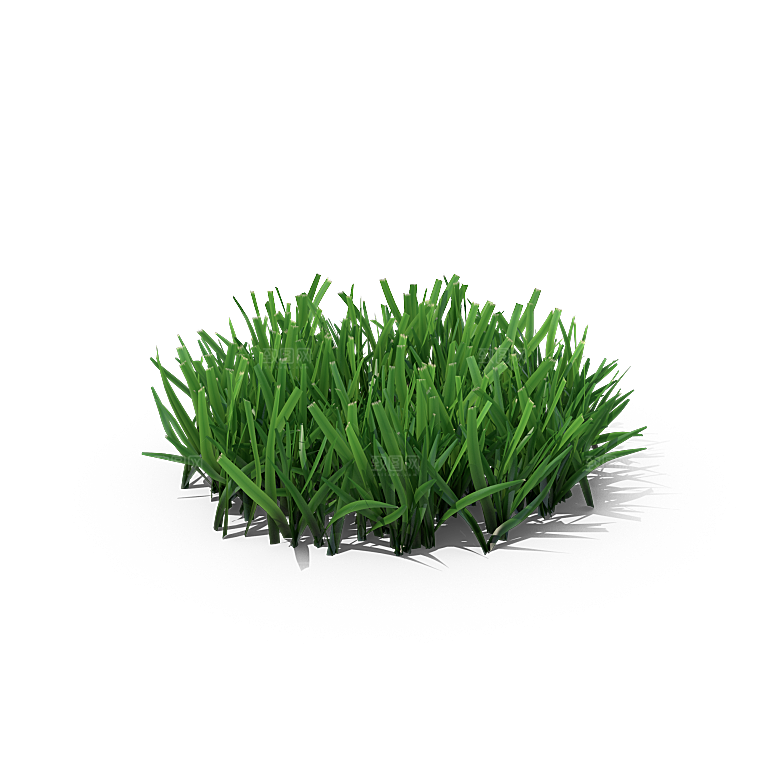 高清景观植物乔木花卉草本观赏草灌木
