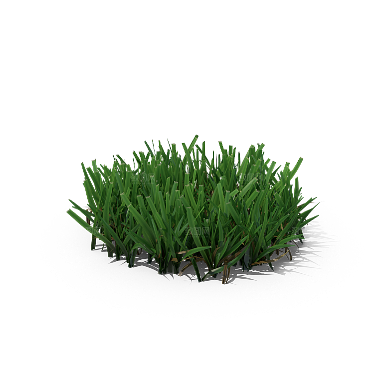 高清景观植物乔木花卉草本观赏草灌木