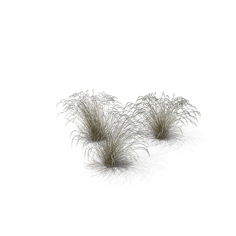 高清景观植物乔木花卉草本观赏草灌木