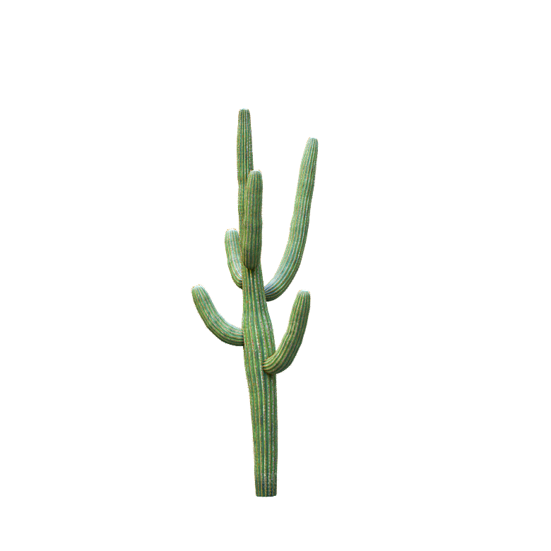 高清景观植物乔木花卉草本观赏草灌木