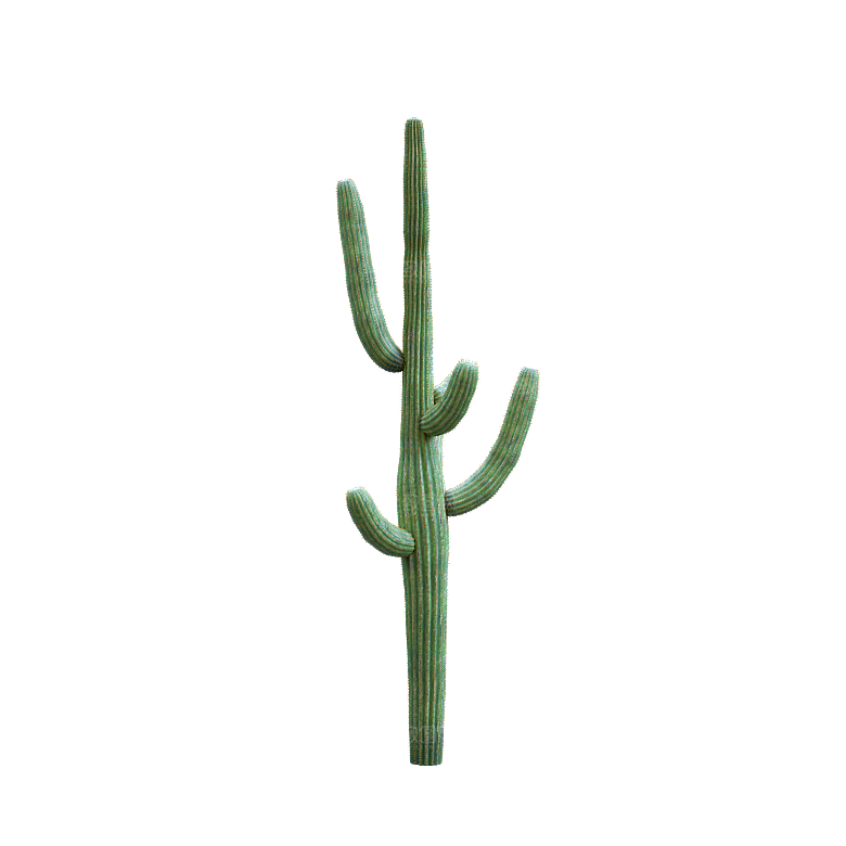 高清景观植物乔木花卉草本观赏草灌木素材