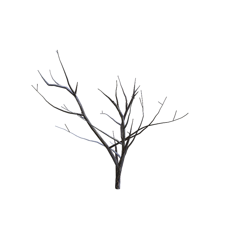 高清景观植物乔木花卉草本观赏草灌木素材