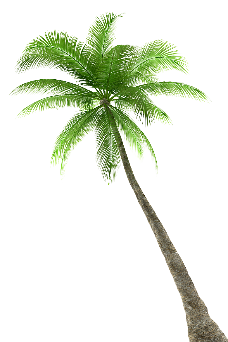 高清景观植物乔木花卉草本观赏草灌木