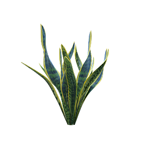 高清景观植物乔木花卉草本观赏草灌木素材
