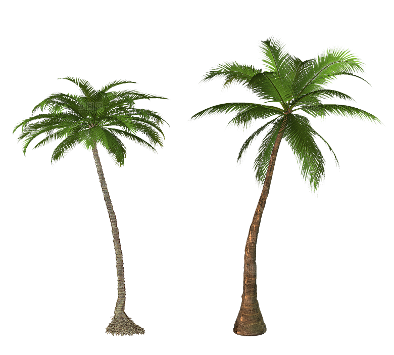 高清景观植物乔木花卉草本观赏草灌木素材