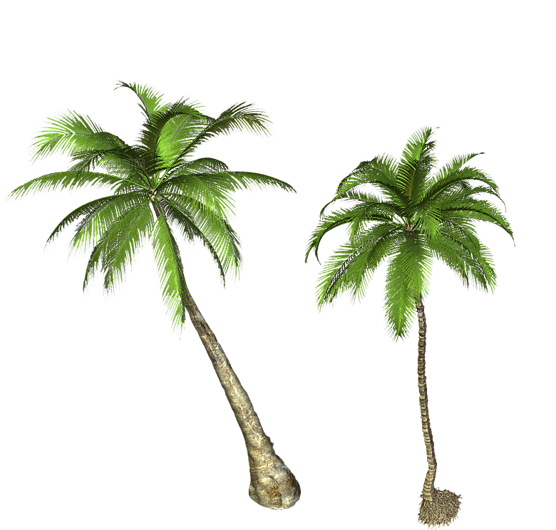 高清景观植物乔木花卉草本观赏草灌木素材