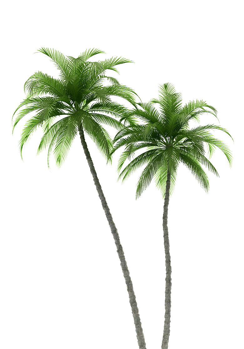 高清景观植物乔木花卉草本观赏草灌木素材