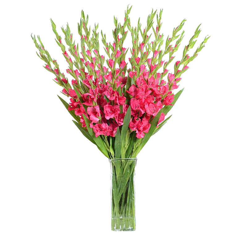 花艺软装北欧绿植插花花卉盆栽PNG