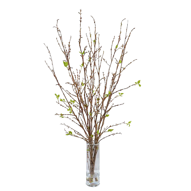 花艺软装北欧绿植插花花卉盆栽PNG