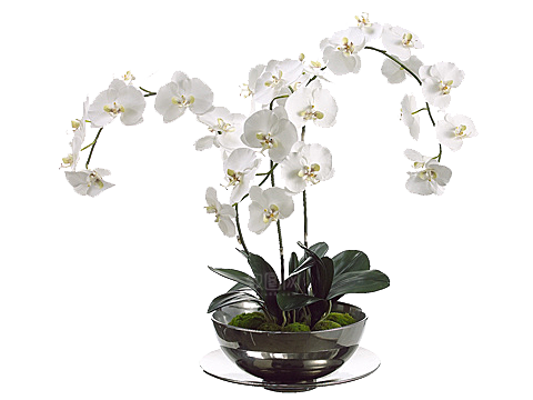 花艺软装北欧绿植插花花卉盆栽PNG