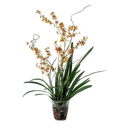 花艺软装北欧绿植插花花卉盆栽PNG