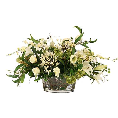 花艺软装北欧绿植插花花卉盆栽PNG