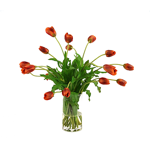 花艺软装北欧绿植插花花卉盆栽PNG素材