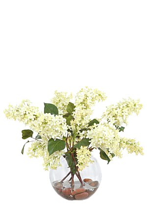 花艺软装北欧绿植插花花卉盆栽PNG素材