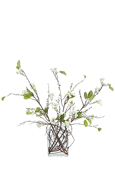 花艺软装北欧绿植插花花卉盆栽PNG素材