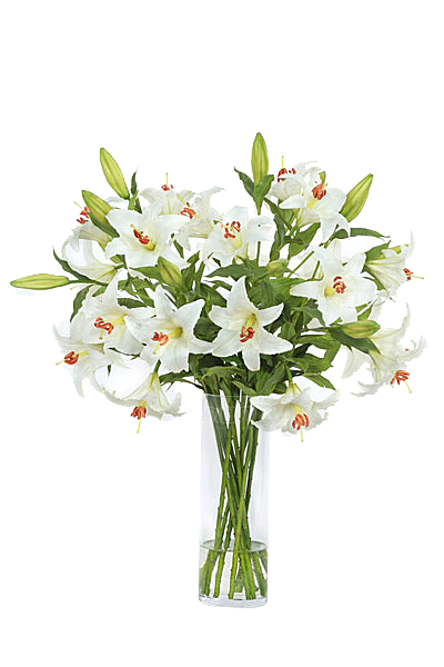 花艺软装北欧绿植插花花卉盆栽PNG