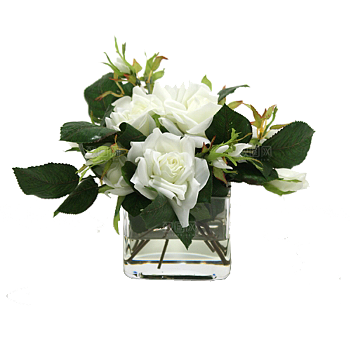 花艺软装北欧绿植插花花卉盆栽PNG素材