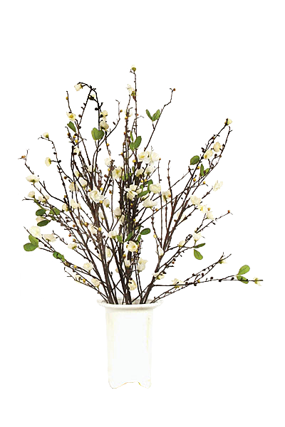 花艺软装北欧绿植插花花卉盆栽PNG素材