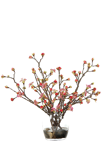 花艺软装北欧绿植插花花卉盆栽PNG素材