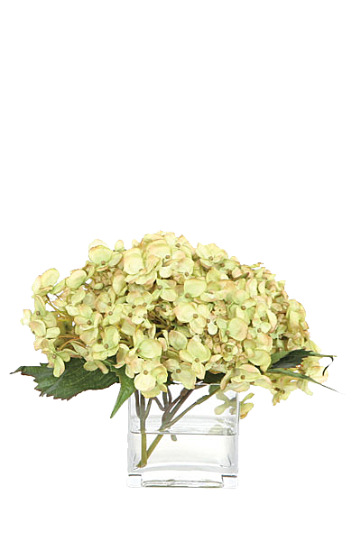 花艺软装北欧绿植插花花卉盆栽PNG