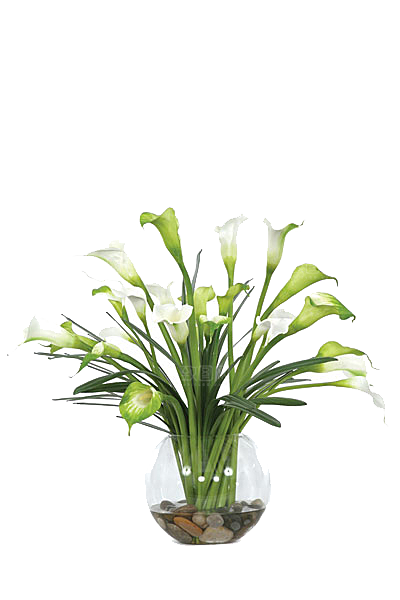 花艺软装北欧绿植插花花卉盆栽PNG
