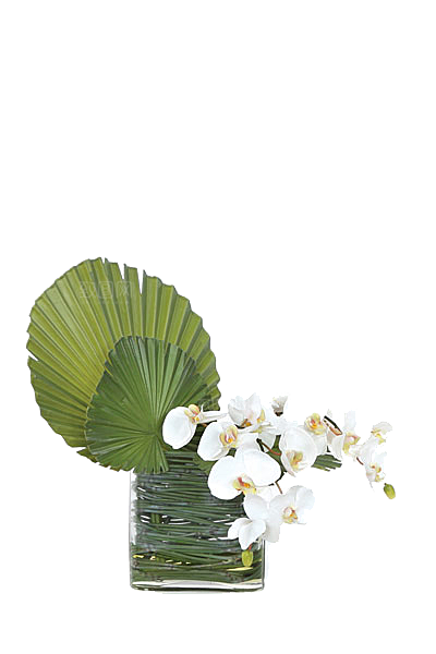 花艺软装北欧绿植插花花卉盆栽PNG