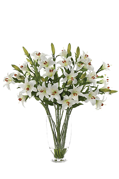 花艺软装北欧绿植插花花卉盆栽PNG