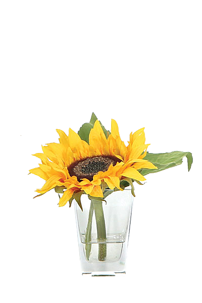 花艺软装北欧绿植插花花卉盆栽PNG