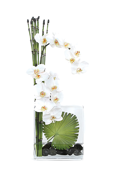 花艺软装北欧绿植插花花卉盆栽PNG