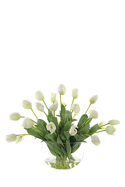 花艺软装北欧绿植插花花卉盆栽PNG
