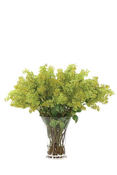 花艺软装北欧绿植插花花卉盆栽PNG素材