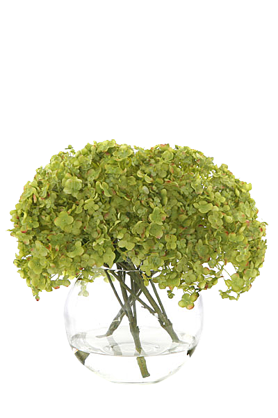 花艺软装北欧绿植插花花卉盆栽PNG素材