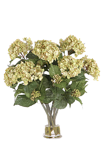 花艺软装北欧绿植插花花卉盆栽PNG素材