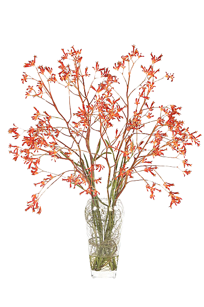 花艺软装北欧绿植插花花卉盆栽PNG素材