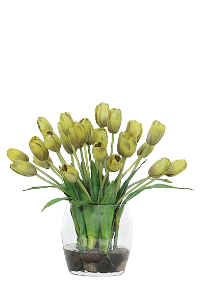 花艺软装北欧绿植插花花卉盆栽PNG
