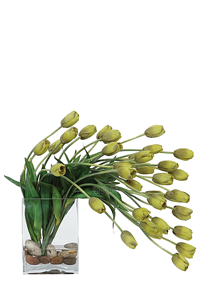 花艺软装北欧绿植插花花卉盆栽PNG