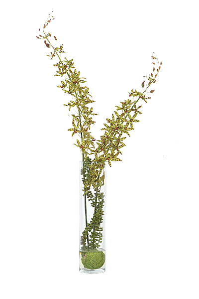 花艺软装北欧绿植插花花卉盆栽PNG