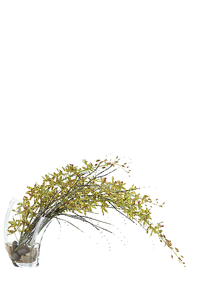 花艺软装北欧绿植插花花卉盆栽PNG