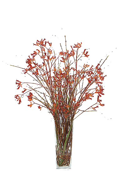 花艺软装北欧绿植插花花卉盆栽PNG