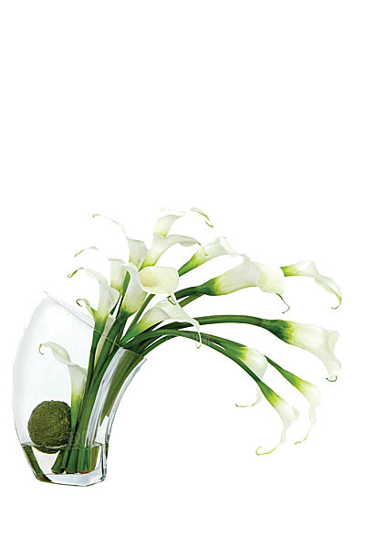 花艺软装北欧绿植插花花卉盆栽PNG