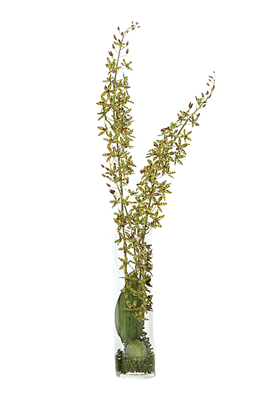 花艺软装北欧绿植插花花卉盆栽PNG