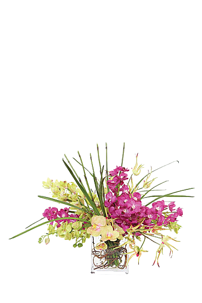 花艺软装北欧绿植插花花卉盆栽PNG