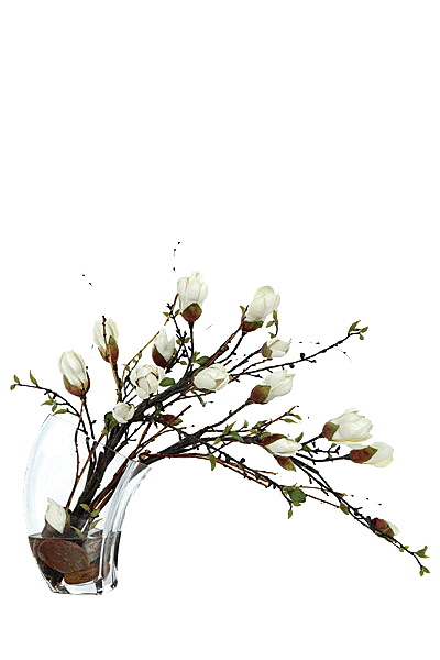 花艺软装北欧绿植插花花卉盆栽PNG素材